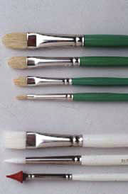 GreenCleen Brushes